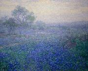 Julian Onderdonk Cloudy Day. Bluebonnets near San Antonio, Texas oil painting